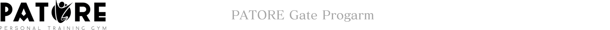 PATORE Gate Program